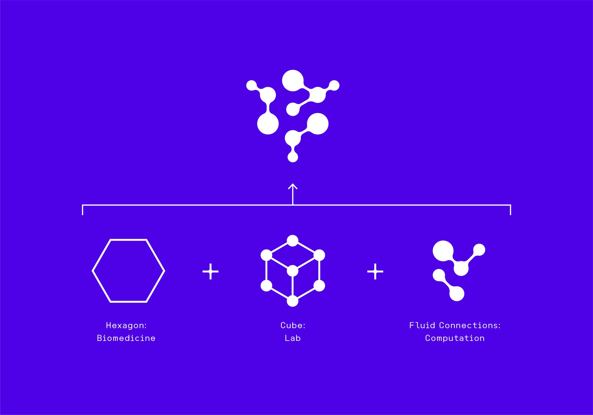 finotello-lab_font